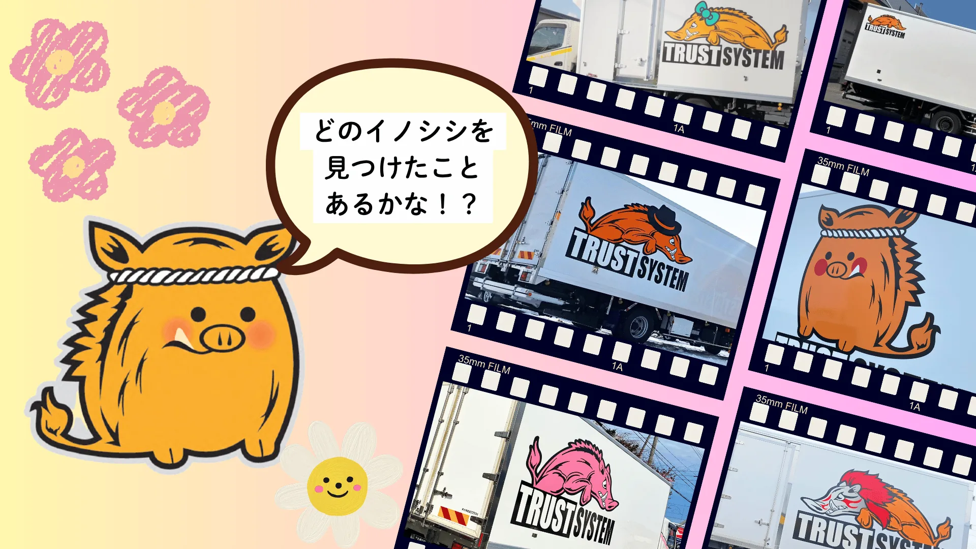 通常・リボン・シルクハット・ピンクなど、トラストシステムのさまざまなイノシシトラック